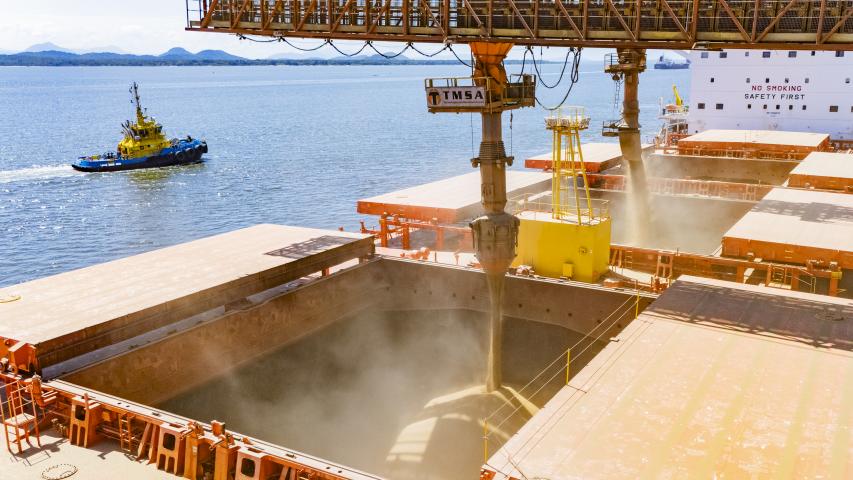 Imagem de um navio sendo carregado com grãos.  No centro, um grande equipamento metálico laranja e amarelo, com tubulações grossas, descarrega um fluxo contínuo de grãos claros para dentro do porão aberto do navio.  A boca do porão é bem grande e retangular, com paredes internas metálicas também em tom amarelado pela poeira.   Ao fundo, além do casco claro do navio, há a superfície do mar em tom azul, ocupando grande parte da lateral da imagem.